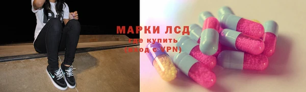 стаф Баксан