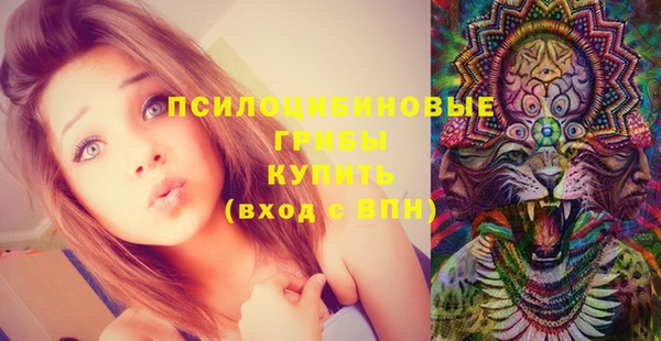 стаф Баксан