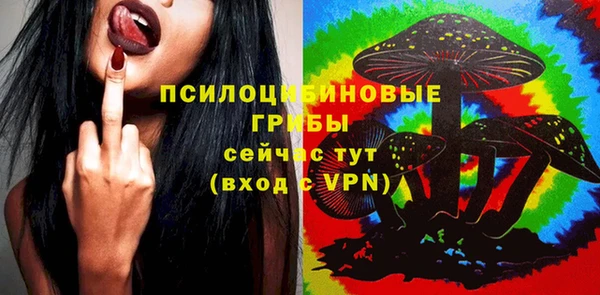 стаф Баксан