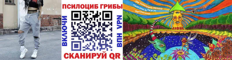Купить Медногорск Псилоцибиновые грибы ЛСД